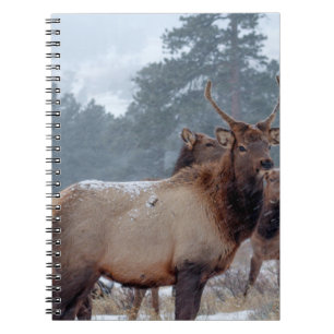EEN GROEP DEERS NOTITIEBOEK