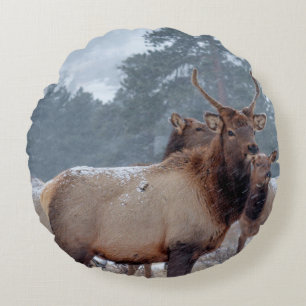 EEN GROEP DEERS ROND KUSSEN