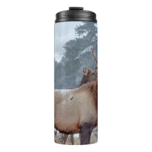 EEN GROEP DEERS THERMOSBEKER