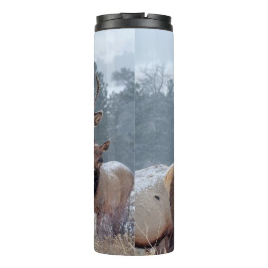 EEN GROEP DEERS THERMOSBEKER (Achterkant)