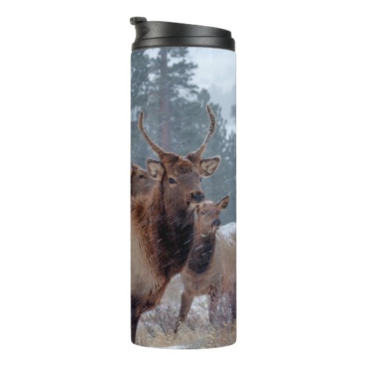 EEN GROEP DEERS THERMOSBEKER (Geroteerd rechts)