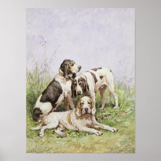 Een groep Franse honden Poster (Voorkant)
