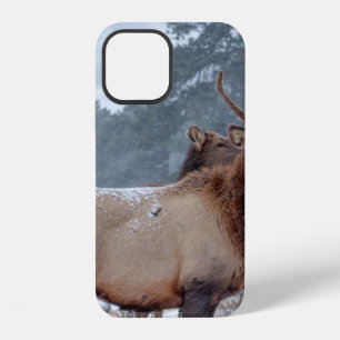 EEN GROEP HERTEN iPhone 12 HOESJE