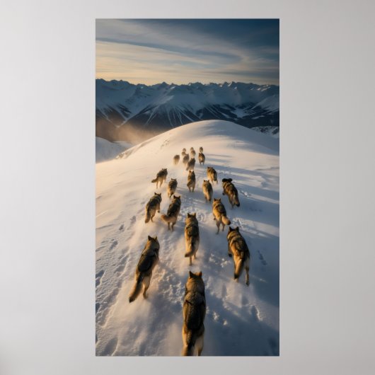Een groep honden die op de sneeuwhelling rennen poster (Voorkant)