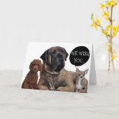 EEN GROEP HONDEN WENST DAT JE DROMEN MET PENSIOEN  KAART (Gele Bloem)