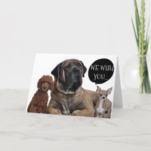 EEN GROEP HONDEN WENST DAT JE DROMEN MET PENSIOEN  KAART