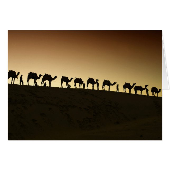 Een groep kameelherders met hun kamelen (Voorkant Horizontaal)
