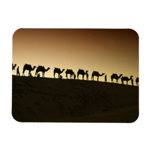 Een groep kameelherders met hun kamelen magneet