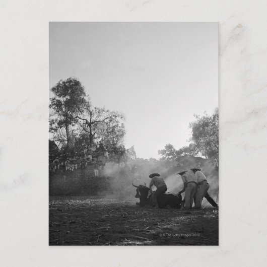 Een groep Mexicaanse charros bullfighters draaien  Briefkaart (Voorkant)