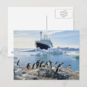 Een groep Pinguïnen die zich op een Ijzig Strand Briefkaart (Voorkant / Achterkant)