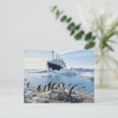 Een groep Pinguïnen die zich op een Ijzig Strand Briefkaart (Staand voorkant)
