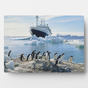 Een groep pinguïns die op een valkuil staan fotoplaat