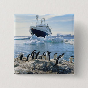 Een groep pinguïns die op een valkuil staan vierkante button 5,1 cm