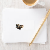 Een groep rammen etiket (Insitu)