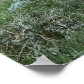 EEN GROEP VAN HOREN OP EEN MOUNTAIN PASTURE POSTER (Hoek)