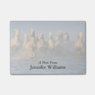 Een groep witte paarden in de Camargue Post-it® Notes
