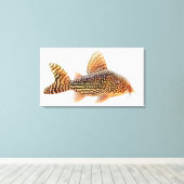 Een groot Corydoras Sterbae Catfish verpakt canvas (Insitu (Houten vloer))