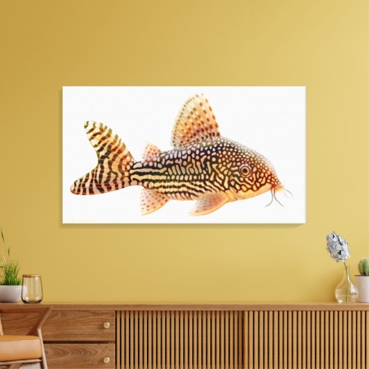 Een groot Corydoras Sterbae Catfish verpakt canvas (Insitu (Woonkamer))