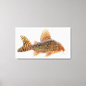 Een groot Corydoras Sterbae Catfish verpakt canvas (Voorkant)