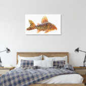 Een groot Corydoras Sterbae Catfish verpakt canvas Afdruk (Insitu (Slaapkamer))