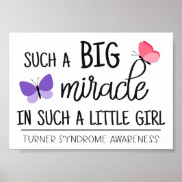 Een grote bewustwording van het mirakel Turner-syn Poster