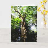 Een grote boom in het bos opzoeken - Wenskaarten Kaart (Gele Bloem)