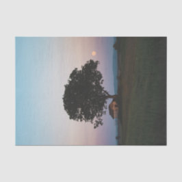 Een grote eenzame boom die een schuur beschermt tissuepapier