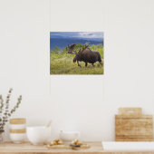 Een grote mannetjeseland staat tussen de wilgen poster (Keuken)