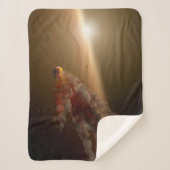 Een grote uitbarsting rond ster NGC 2547-ID8. Sherpa Deken (Voorkant)