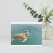 Een grote zee schildpad Caretta Briefkaart (Staand voorkant)