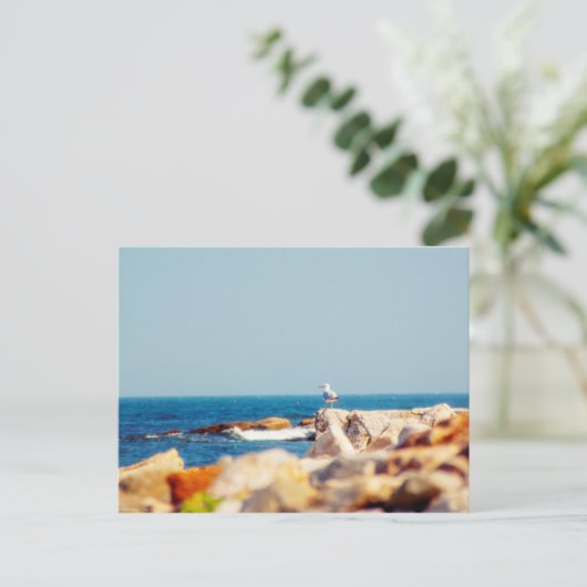 Een Gull's Post Briefkaart (Staand voorkant)