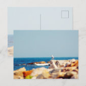 Een Gull's Post Briefkaart (Voorkant / Achterkant)