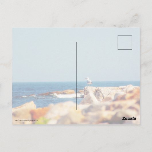 Een Gull's Post Briefkaart (Achterkant)