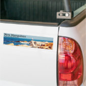Een Gull's Post Bumpersticker (Op Truck)