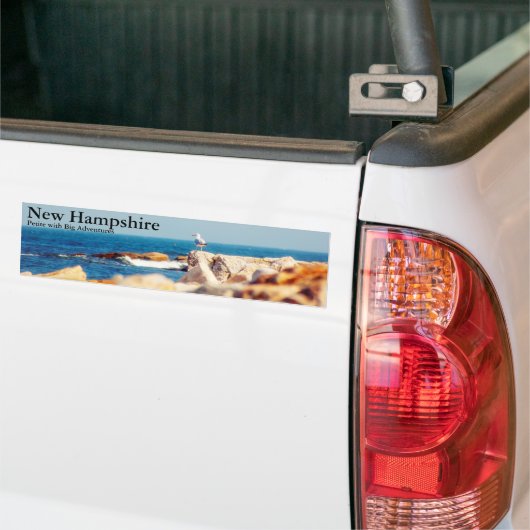 Een Gull's Post Bumpersticker (Op Truck)