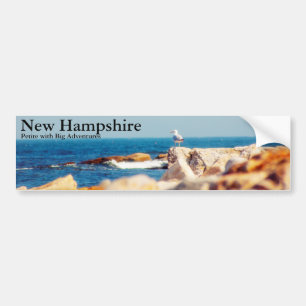 Een Gull's Post Bumpersticker