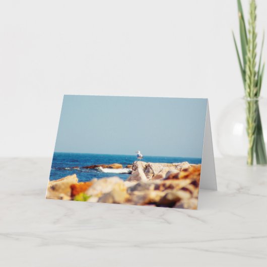 Een Gull's Post Kaart (Voorkant)