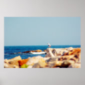Een Gull's Post Poster (Voorkant)