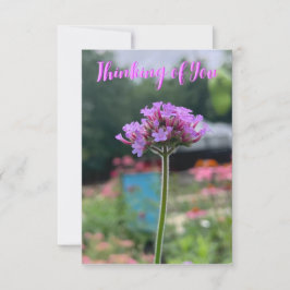 Een H-teken van Z "Denkend van je"-kaart Bedankkaart