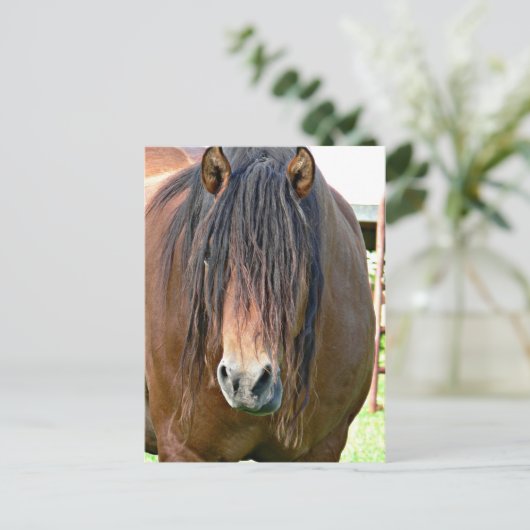 Een haarsnit nodig briefkaart (Staand voorkant)