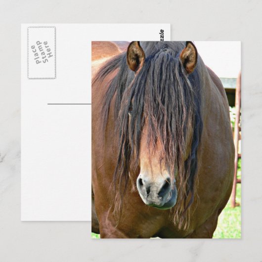 Een haarsnit nodig briefkaart (Voorkant / Achterkant)