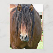 Een haarsnit nodig briefkaart (Voorkant)