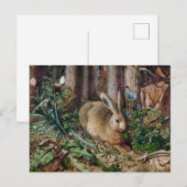 Een haas in het bos briefkaart (Voorkant / Achterkant)