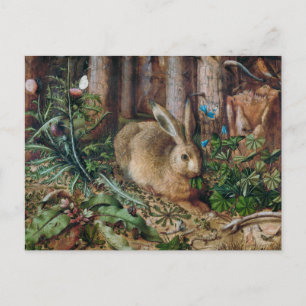 Een haas in het bos briefkaart