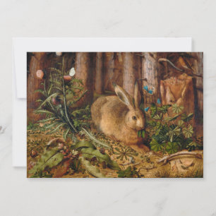 Een haas in het bos   Hans Hoffmann