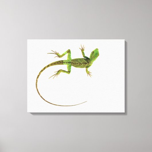 Een hagedis op zuiver witte grond canvas afdruk (Voorkant)