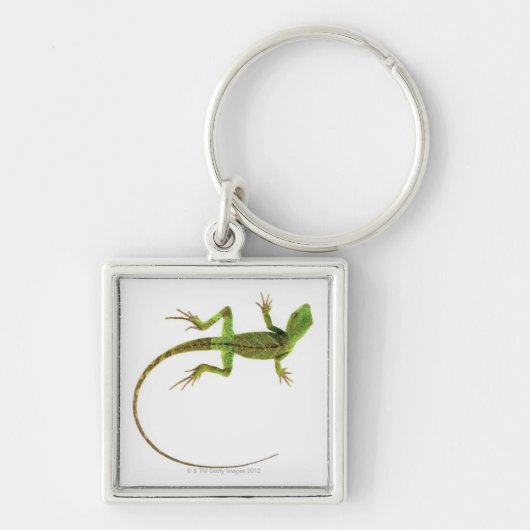 Een hagedis op zuiver witte grond sleutelhanger (Voorkant)
