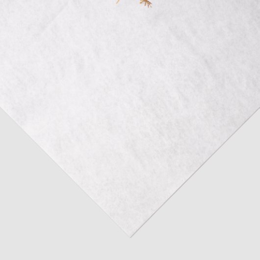 Een  Halloween Design Collectie 34 Tissuepapier (Detail)