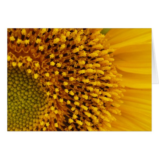 een halve cirkel (Voorkant Horizontaal)