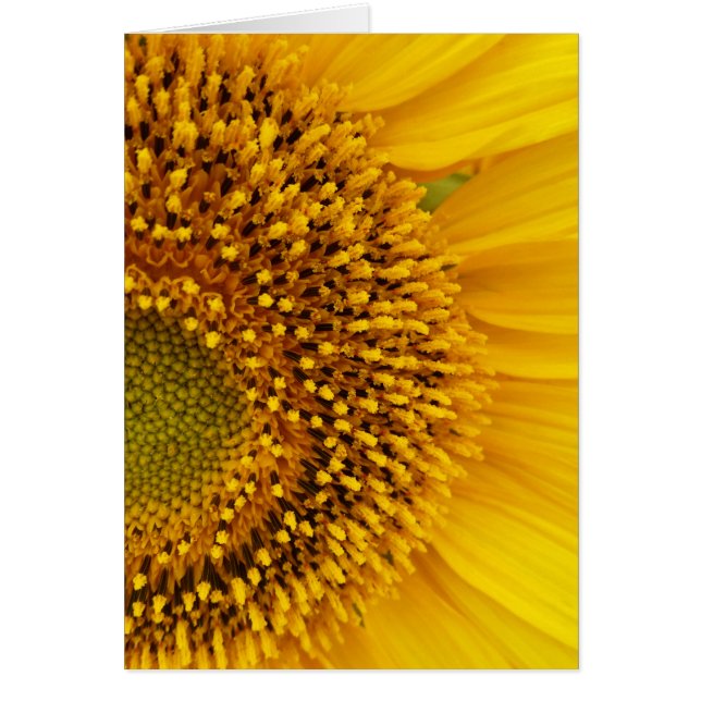 een halve cirkel (Voorkant)